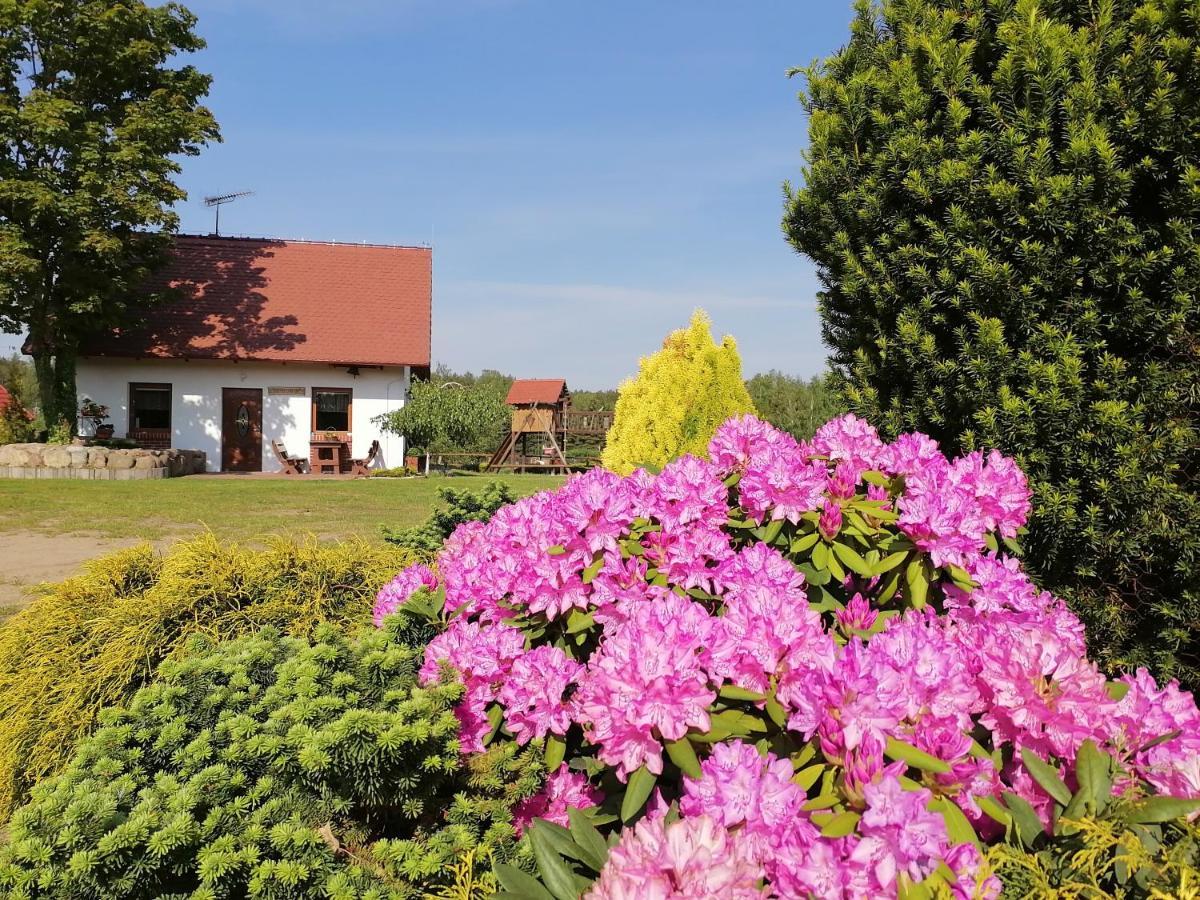 Domek Czerwony Kapturek Villa Plocice Exterior foto
